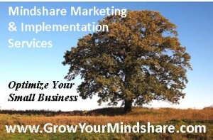 Mindshare Marketing & Implementation Services, Michelle Aspelin