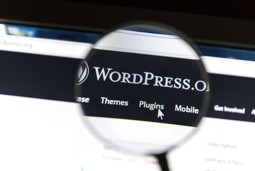WordPress Websites