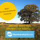 Best MembershipWorks Features for Trade Association Management graphic include the large oak tree for Mindshare Marketing